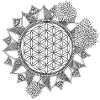 flower of life