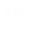 Bison animal