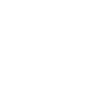 Détecteur de métaux Evolution