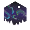 Polar Lichter 2