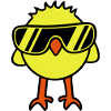 Cool Chick