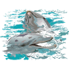 Delfine