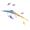 Dragons arc-en-ciel