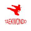 Taekwondo lessons