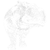 Hippopotame