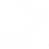 élan