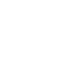 Ballerina Dancer