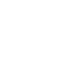 Alaska Bear