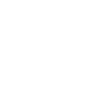 Kung Fu