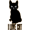 I love cat cat