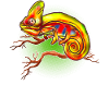 Chameleon Chameleons Reptiles