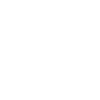 D20