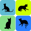 chat chat chat, cadeau