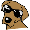 sunglasses_dog