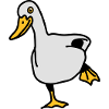 duck