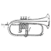Fluegelhorn flugelhorn
