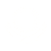 Kazakstan Eagle steppe eagle line valkoinen lippu