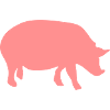 porcs