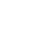 Ring Security Wedding Ring