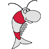 Shrimp