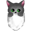 Katzenbaby Perser Birma