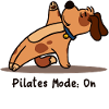 Sweet Dog Pilates Fitness Workout Workout Gym
