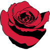rose