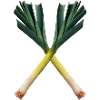 leek design