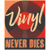 Album di album in vinile LP registra dischi da collezione
