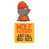Mole problems