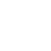 Auto - Papa's co Pilot