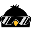 Cool Penguin Bird