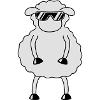 Cool Sheep