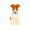 Wire Fox Terrier