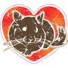 Chinchilla