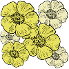 Bluetenmeer yellow