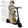 Escooting Ermännchen Escooter scooter électrique