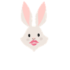 Skihaserl