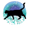 Chat noir