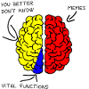 Brain - Brain - Memes