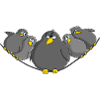 Bird fat and funny