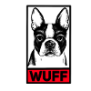 Boston terrier Wuff