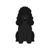 Pudel