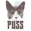 Portrait de chats