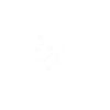 Dogo Argentino