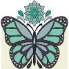 butterfly