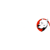 Dogo Argentino