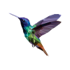 Polygon Bird