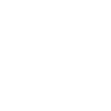 Petrolhead Skull