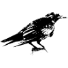 crow